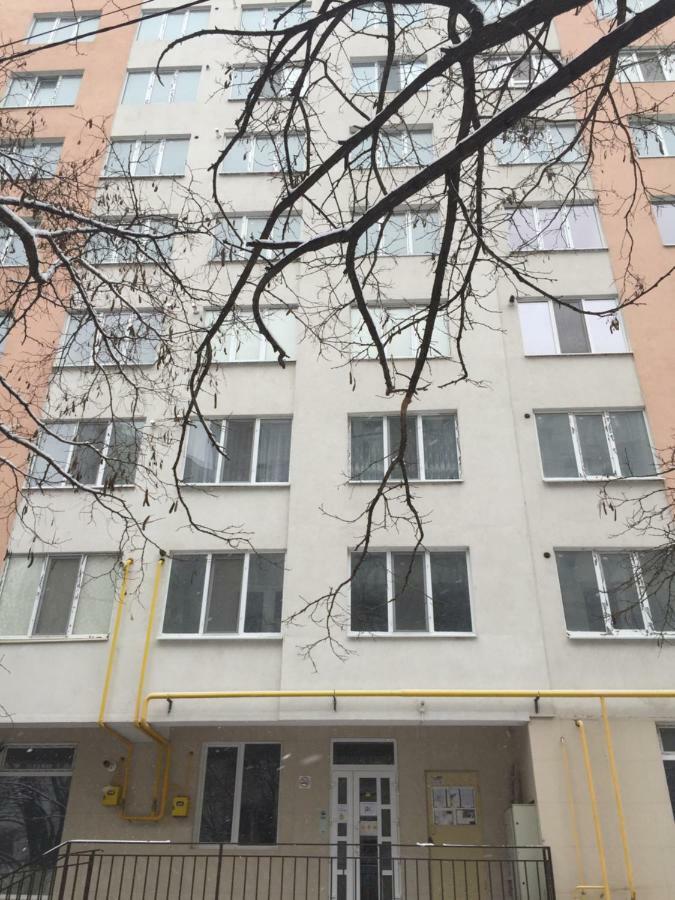 Center Apartment On Albisoara Street 基希讷乌 外观 照片